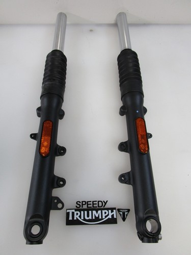 Forcella anteriore triumph - anteriore,